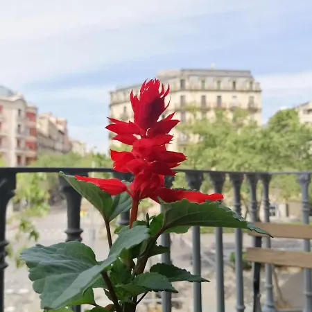 Casa Consell Gran Via, Guest house Barcelona
